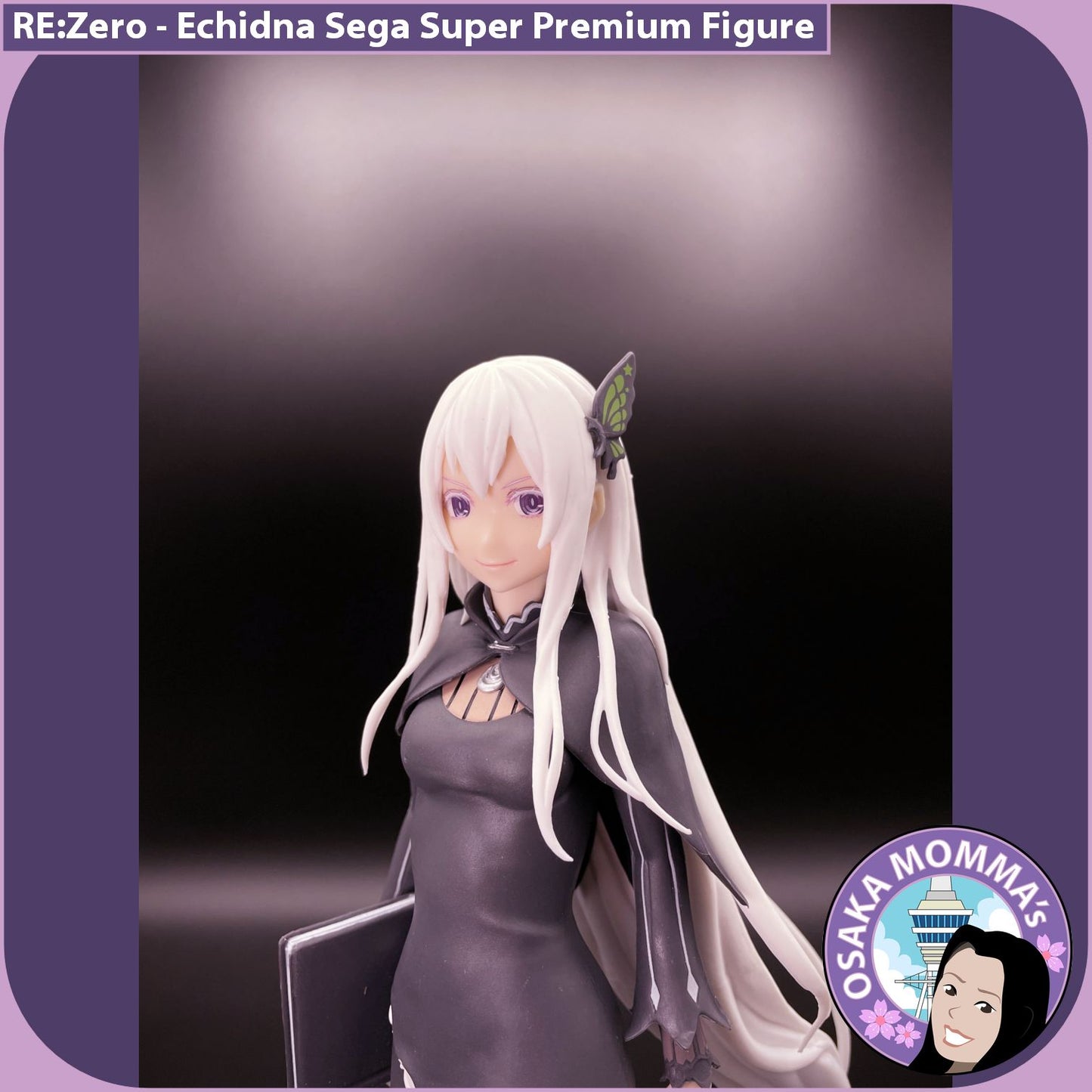 Echidna SPM Figure