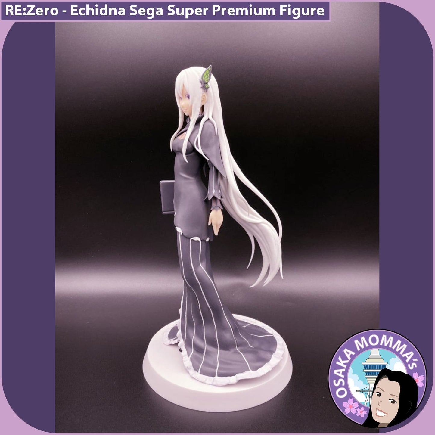 Echidna SPM Figure