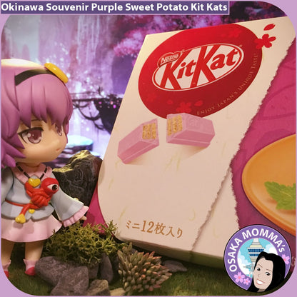 Okinawa Souvenir Purple Sweet Potato Kit Kat