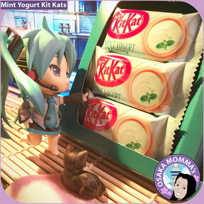 Mint Yogurt Kit Kat