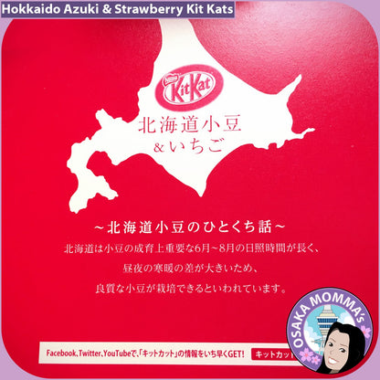 Hokkaido Azuki & Strawberry Kit Kat