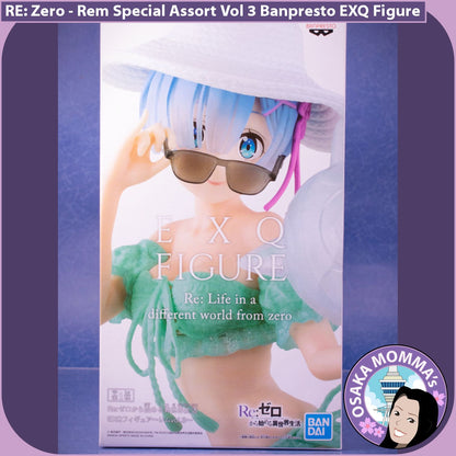 Rem Special Assortment Vol 3 EXQ Figure